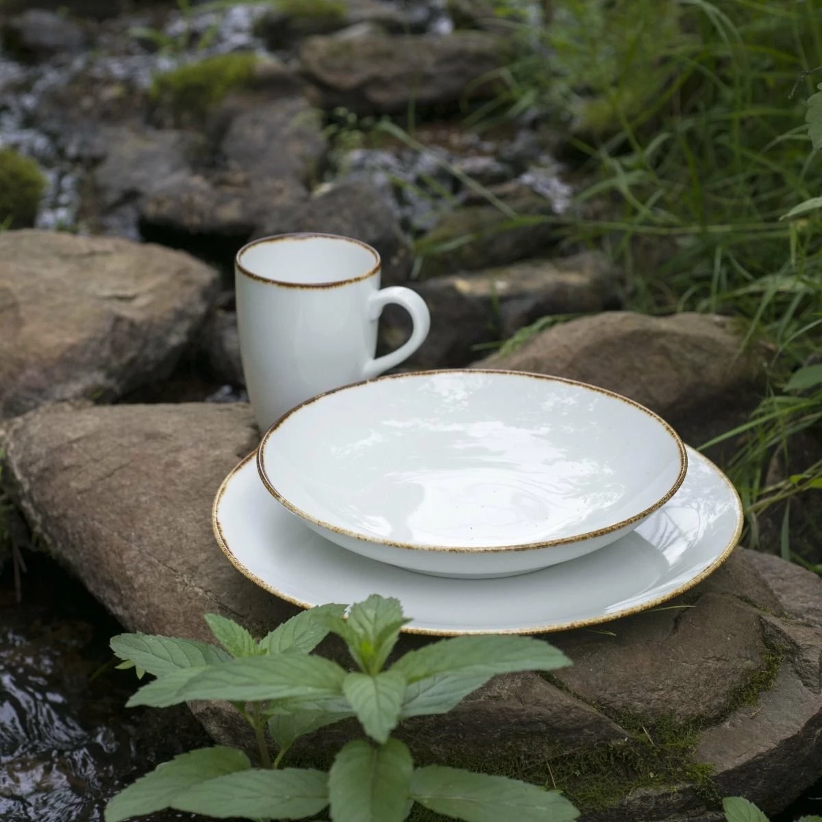 Fortessa Salt Serena Coupe Plate | 10.75" - Image 3