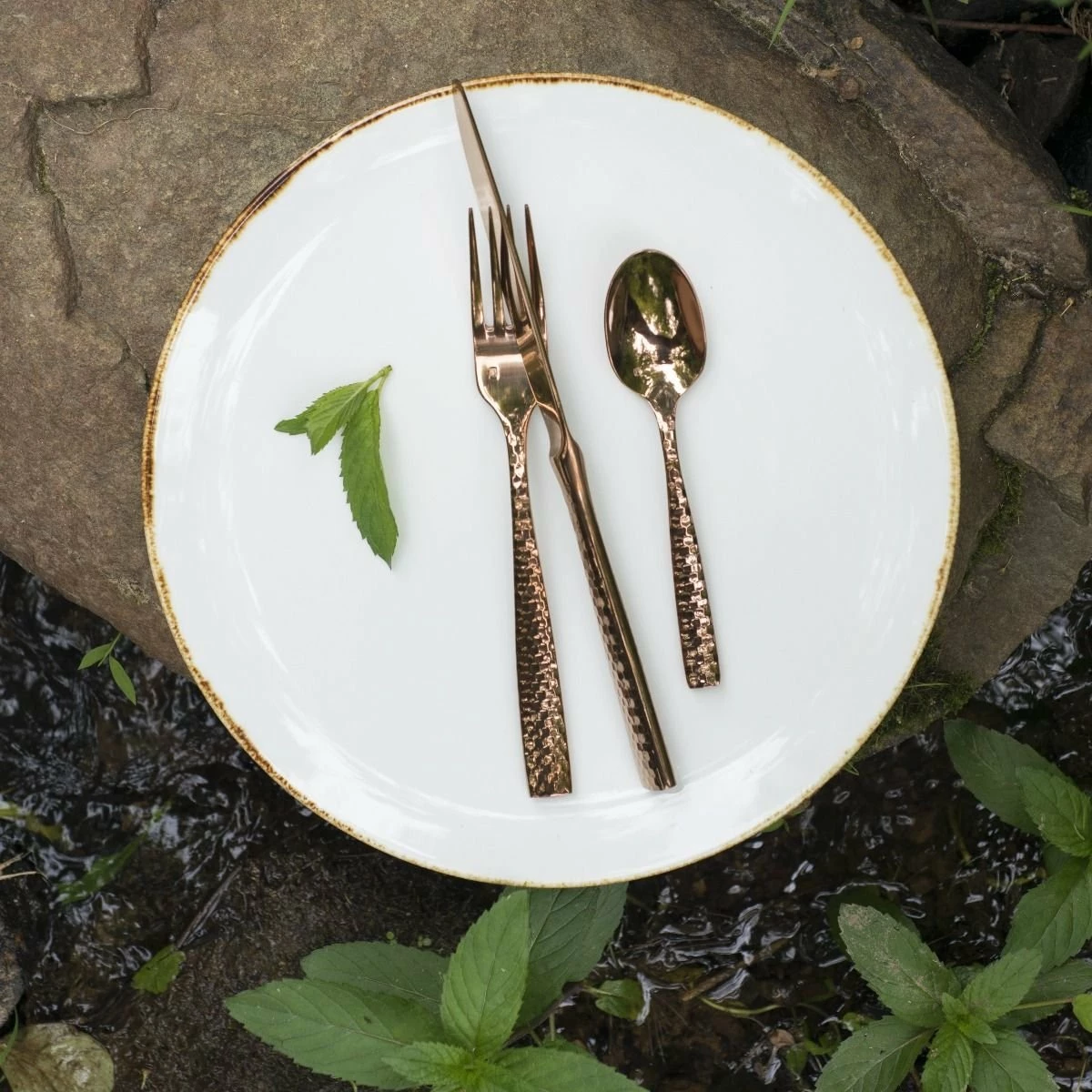 Fortessa Salt Serena Coupe Plate | 10.75" - Image 2